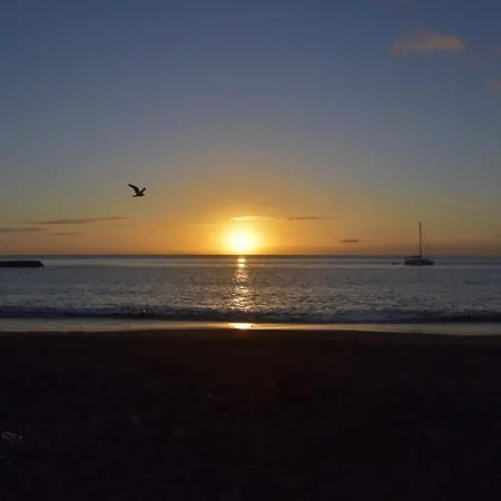 Marysol 1 With Terrace Close To The Sea